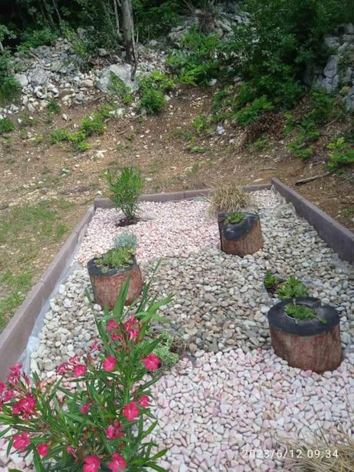 Apartament Family Carlo Kršan
